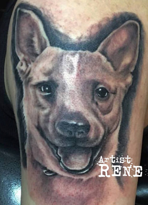 Dog tatoo done by Rana ramos Pain Ink Queens